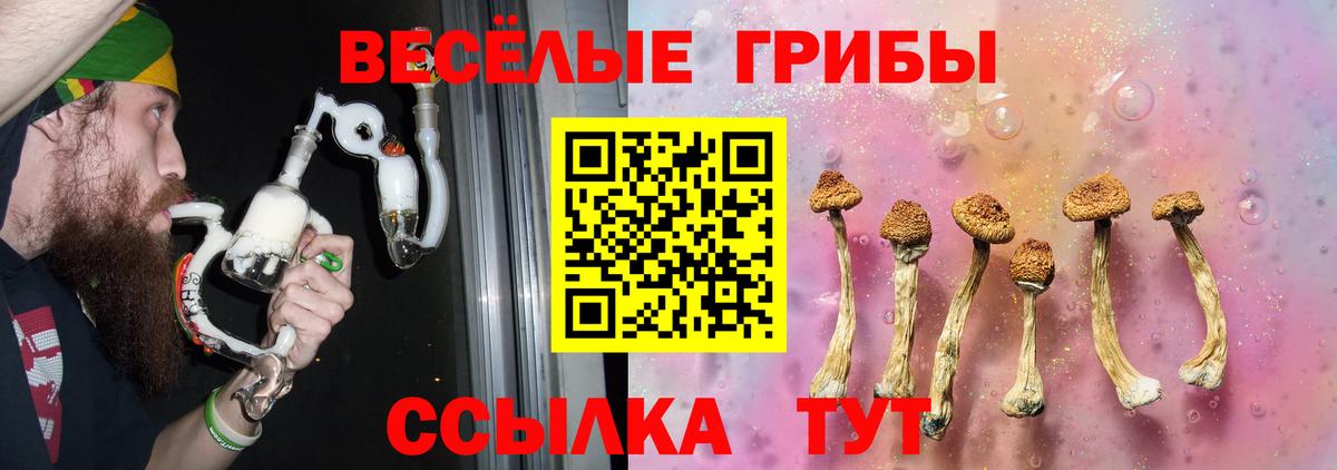 Галлюциногенные грибы мицелий Коркино